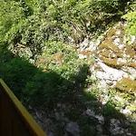 Sofija Bled