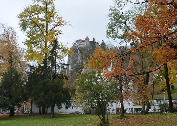 Sofija Lejlighed Bled